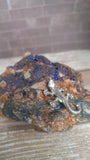 Gecko gift Gypsy Gems & Jewelry