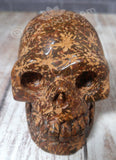 Elephant Skin Jasper Skull - 3"