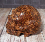 Elephant Skin Jasper Skull - 3"