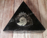 Medium Triangle Fossil Box GGandJ.com