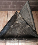 Open view medium fossil box from Morocco GGandJ.com