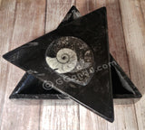 Gypsy Gems & Jewelry™ Naturally Unique™ Medium triangle fossil box