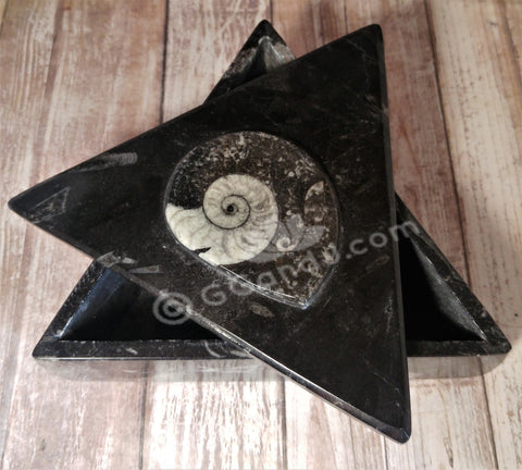 Gypsy Gems & Jewelry™ Naturally Unique™ Medium triangle fossil box
