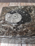 Gypsy Gems & Jewelry™ Naturally Unique™ Medium Square Box