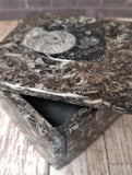 Gypsy Gems & Jewelry™ Naturally Unique™ Medium Square Box A