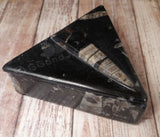 Gypsy Gems & Jewelry™ Naturally Unique™ Medium Triangle Fossil Box