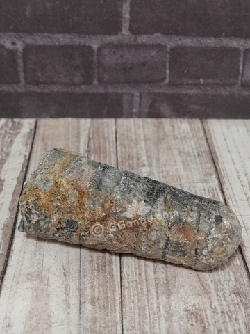 Orthoceras Fossil from Morocco