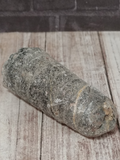 Orthoceras Squid Fossil GGandJ.com
