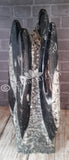 Orthoceras Tower B GGandJ.com