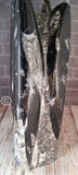 Gypsy Gems & Jewelry™ Naturally Unique™ Orthoceras Tower