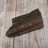 Petrified wood for sale from Sonoma California