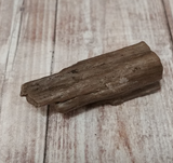 Petrified Wood fossil GGandJ.com
