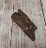 Petrified wood for sale from Sonoma California