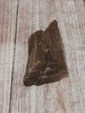 Fossilized wood for sale Gypsy Gems & Jewelry Naturally Unique