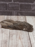 Fossilized wood for sale GGandJ.com