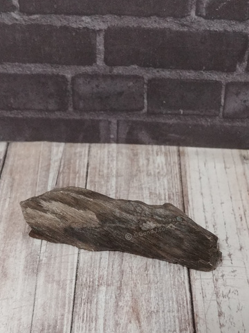 Petrified wood for sale from Sonoma California