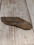 Fossilized wood for sale Gypsy Gems & Jewelry Naturally Unique