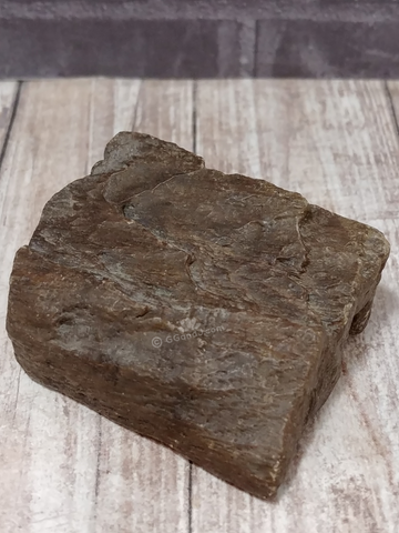 Naturally smooth petrified wood for sale GGandJ.com