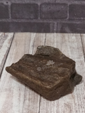 Petrified Wood fossil GGandJ.com