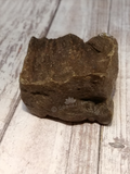 Fossilized wood for sale Gypsy Gems & Jewelry Naturally Unique