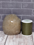 Coral Fossil with thread spool size reference
