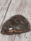 Polished Coral for sale Gypsy Gems & Jewelry