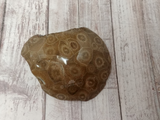 Fossil gift idea GGandJ.com