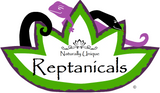 Armadillidium maculatum Zebra Isopods - Reptanicals