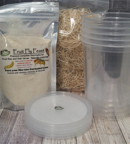 Reptanicals Fruit Fly Culture Kit for raising fruit flies at home