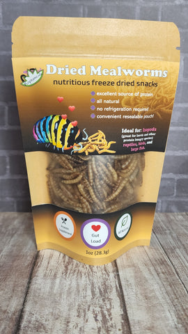  Mealworm snacks for reptiles Reptanicals