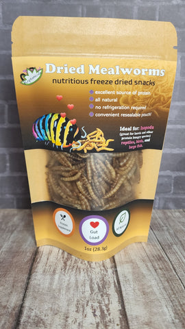 Mealworm snacks for reptiles Reptanicals