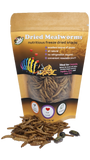 Gestroi Isopods eating Reptanicals Mealworms