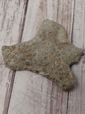African coral fossil