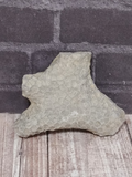 Rough coral fossil from Morocco for sale