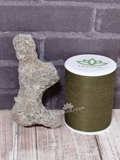 rough coral fossil with size reference