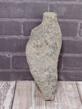 Rough coral fossil for sale on GGandJ.com