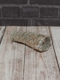 Orthoceras Fossilized marine creature gift idea