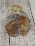 Orthoceras Fossil from Morocco for sale