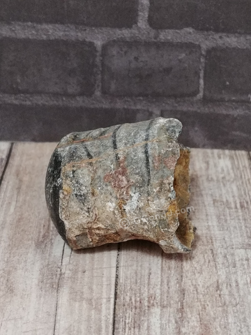 Orthoceras Fossil from Morocco