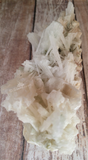 Scolecite Mineral from India on GGandJ.com Natural white spiky gemstone