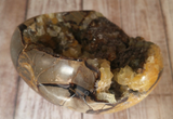 Natural Septarian from Madagascar Carved Heart Gemstone Yellow Calcite Brown Aragonite GGandJ.com