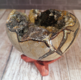 Natural Septarian from Madagascar Carved Heart Gemstone Yellow Calcite Brown Aragonite GGandJ.com