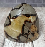 Gypsy Gems & Jewelry™ Naturally Unique™ Septarian Freeform from Madagascar Yellow Brown Gray Gemstone Mineral Dragon Stone