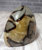 Septarian Freeform 2408