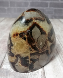 Septarian