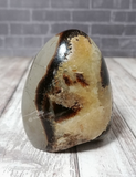 Gypsy Gems & Jewelry™ Naturally Unique™ Septarian Freeform from Madagascar Yellow Brown Gray Gemstone Mineral Dragon Stone