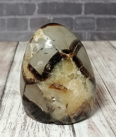 Septarian Freeform from Madagascar on GGandJ.com