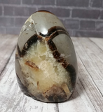 Gypsy Gems & Jewelry™ Naturally Unique™ Septarian Freeform from Madagascar Yellow Brown Gray Gemstone Mineral Dragon Stone