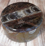 Ammonite Keepsake box Gypsy Gems & Jewelry™ Sm Circle Box C