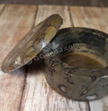 Open Fossil Box GGandJ.com Gypsy Gems & Jewelry Naturally Unique